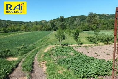 NOU! TEREN DE VIS HOREZU, ZONA TURISTICA 12 EURO/mp - 10