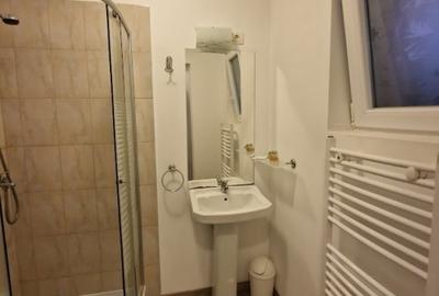 Giroc - Spatiu Comercial - 40 Mp - Cheltuieli Incluse - 4