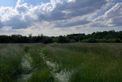 Teren de 20 mp, în Săsar - 1