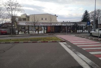 Spațiu comercial, de 273 mp, în Hașdeu - 5