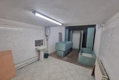 Spa?ii comerciale de 110 mp ?i 36 mp, vitrina stradala Seleu? - 18