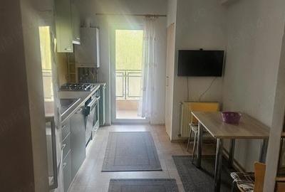Apartament cu 2 camere decomandat în Câmpului - 1