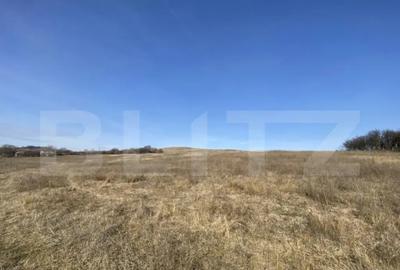 Teren de 140551 mp, în Recea - 8