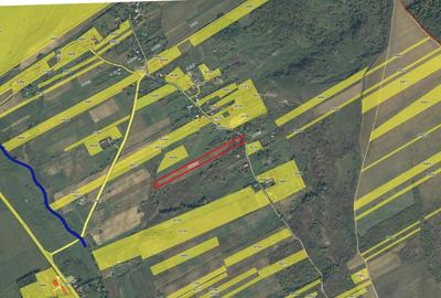 Teren Construcții intravilan de 30000 mp, în Bunghi - 4