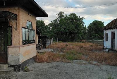 Casă cu Teren 800 Mp în Brătășanca - 2