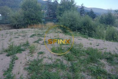 Teren intravilan 15.000 mp Busteni - 4