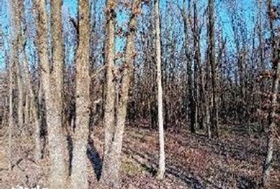 Teren de 5000 mp, în Lunca - 9