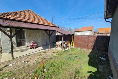 Casă cu 2 camere decomandat cu Teren 1230 Mp în Bocsig - 5