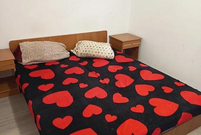 Apartament cu 2 camere semidecomandat în Craiovița Nouă - 5
