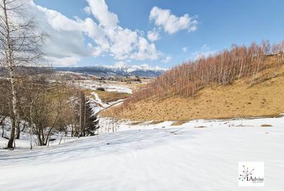Teren Construcții extravilan de 150000 mp, în Șirnea - 35