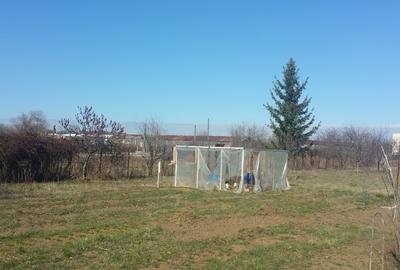 Teren Construcții intravilan de 900 mp, în Noua - 11