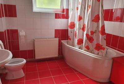 Apartament cu 3 camere decomandat în Lotrioara - 2