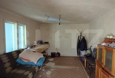 Casa renovabila cu 11508 mp teren, in Copaceni - 19