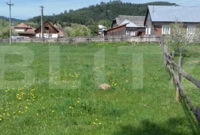 Spațiu comercial, în Vama - 4