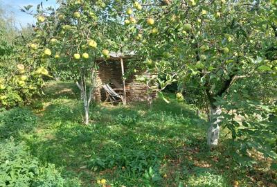 PROPRIETATE SUPERBA IN BIBIRESTI - 5