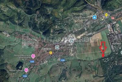Teren intravilan, 7838 mp, cu priveli?te superba spre mun?i Zarne?ti - 11