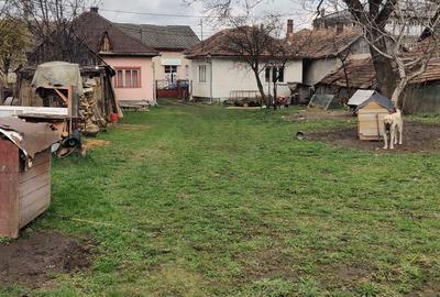 Casa Aghiresu Casa Aghiresu - 3