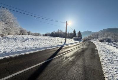 Teren intravilan 500 sau 1000 mp Bran-Tohanita la dum asfaltat - 29