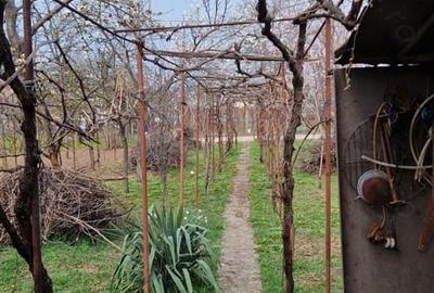 Casă cu 4 camere în Central - 5