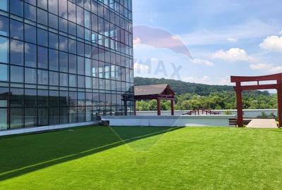 Birou, de 57 mp, în Gruia - 17