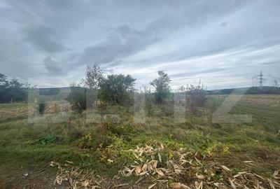 Teren de 3700 mp, în Central - 2