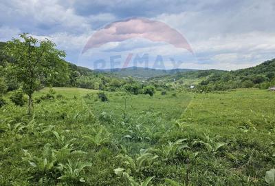 Teren 11,935mp Margineni / Strada Dubas - 4