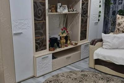 Vand apartament confort 2 , viziru 1 Pistruiatul - 9