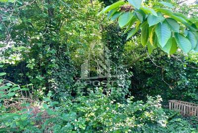 Casa individuala - zona inalta Bujac - 13