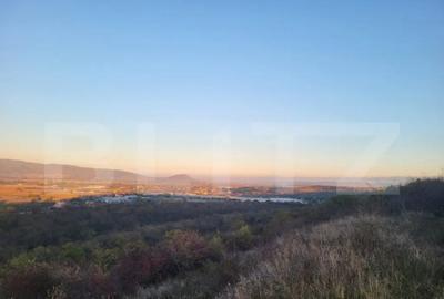 Teren de 16700 mp, în Central - 4