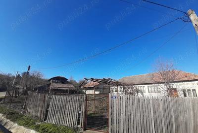 Gospodarie de vanzare, Lapu?ata Valcea - 2