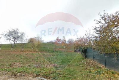 Casa cu 35 ari teren in Adancata sau schimb cu ap in Burd... - 1