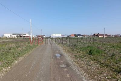 Teren intravilan de 600 mp, în Săcălaz - 4