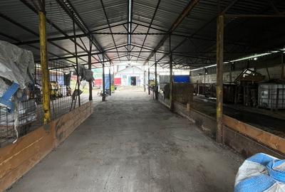 Teren Construcții intravilan de 6500 mp, în Frata - 4