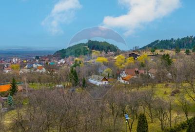 Teren Construcții intravilan de 857 mp, în Nord-Est - 10