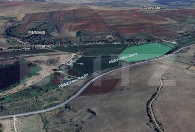 Teren extravilan de vanzare, 2680 mp, zona Lacuri Martinesti - 2