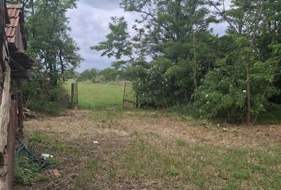 Casă cu 4 camere în Iratoșu - 4