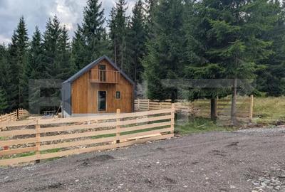 Teren intravilan de vanzare in Colibi?a oportunitate Teren intravilan de vanzare in Colibi?a oportunitate - 4