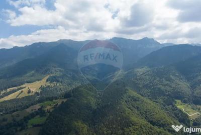 Teren de 15345 mp, în Șimon - 6