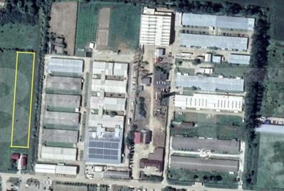 Teren Extravilan de Vanzare 40 Arii Strada Spicului - 1