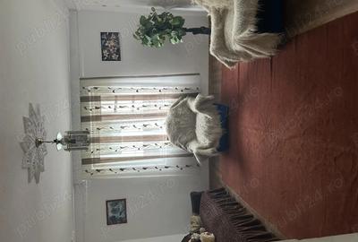 Casa de vanzare Rucar Arge? - 4