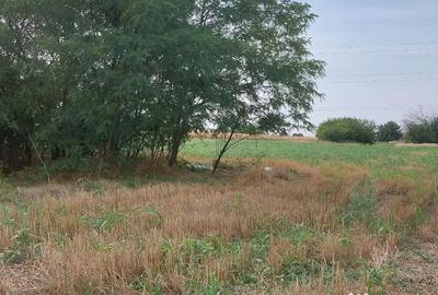 Teren de 4000 mp, în Berceni - 9