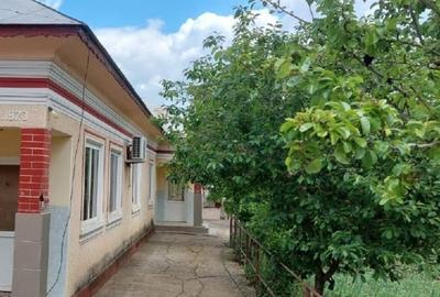Casă individuală cu 6 camere cu Teren 1175 Mp în Islaz - 7