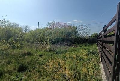 Vanzare Teren Constructii Langa Lac și Padure | Branesti | Ocazie! - 6