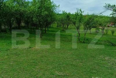 Teren de 3000 mp, în Dej - 1