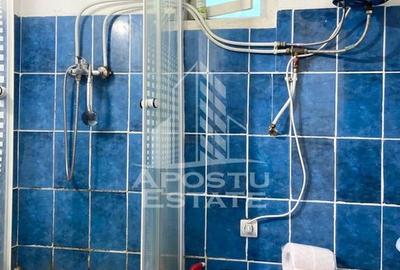 Teren generos si casa, in zona Gai - 14