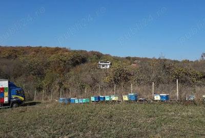 Teren de 1500 mp, în Telița - 2