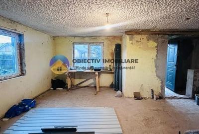Casa + teren de vanzare - Savinesti - 18