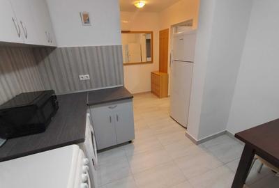 Apartament cu 2 camere semidecomandat, mobilat în Medicină - 4