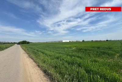 Teren agricol intravilan de 5000 mp, în Ulmi - 6