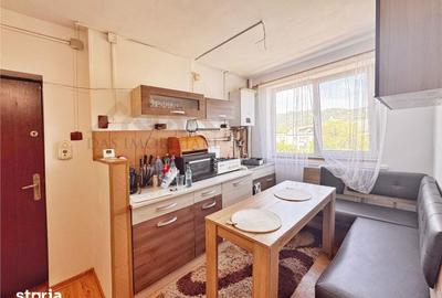 Apartament cu 2 camere decomandat în Săsar - 5